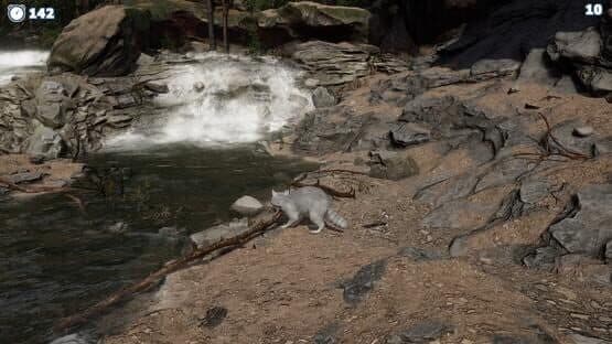 Cazzarion: Raccoon Valley — screenshot 1