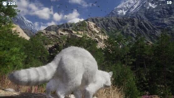 Cazzarion: Raccoon Valley — screenshot 4