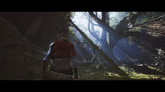 1348: Ex Voto — screenshot 4