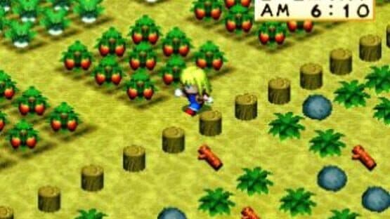 Harvest Moon for Girl — screenshot 4