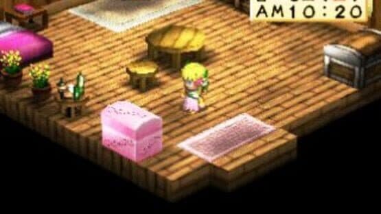 Harvest Moon for Girl — screenshot 5