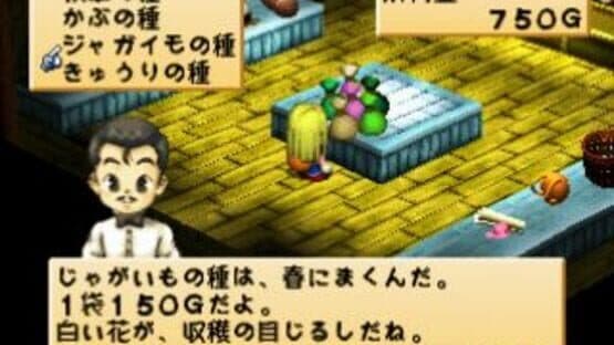 Harvest Moon for Girl — screenshot 6