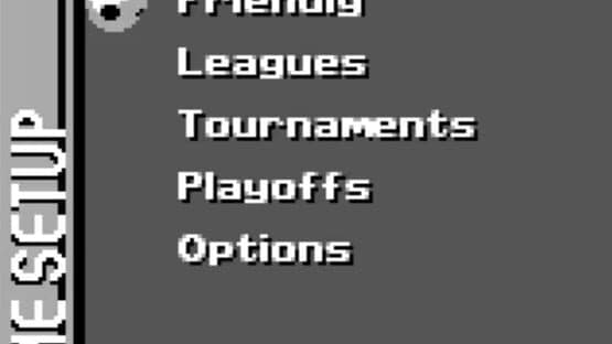 FIFA Soccer 96 — screenshot 2