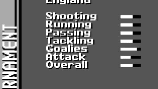 FIFA Soccer 96 — screenshot 3