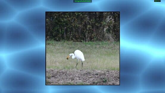 Jon's Jigsaw Puzzle — screenshot 5