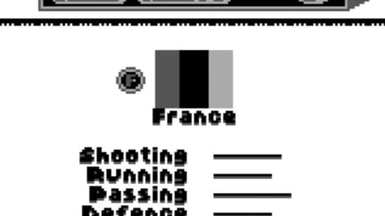 FIFA: Road to World Cup 98 — screenshot 4