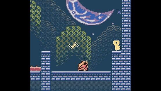 Pyrotoad — screenshot 1