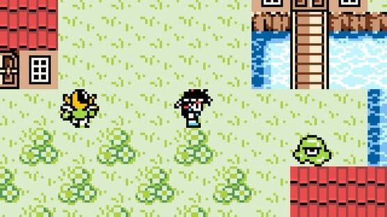 Final Fantasy Legend II DX — screenshot 2