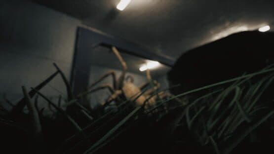 Huntsman — screenshot 7