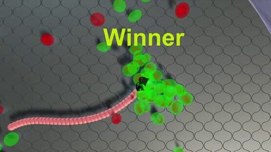 Snekteks — screenshot 1