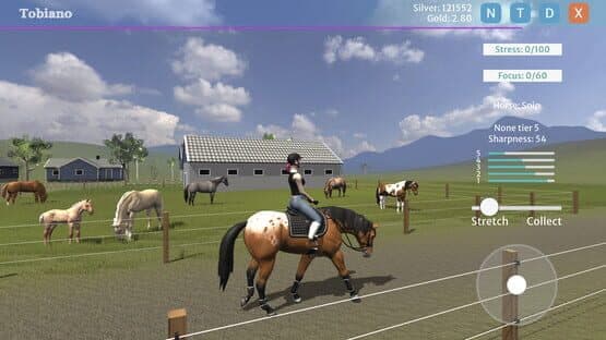 Tobiano — screenshot 1