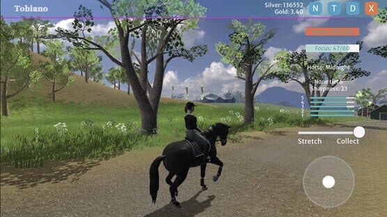 Tobiano — screenshot 3