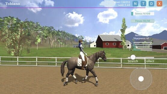 Tobiano — screenshot 7