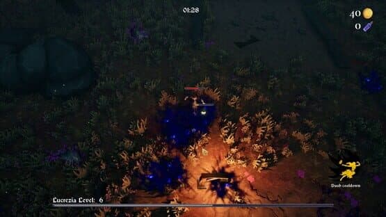 Fiora — screenshot 3