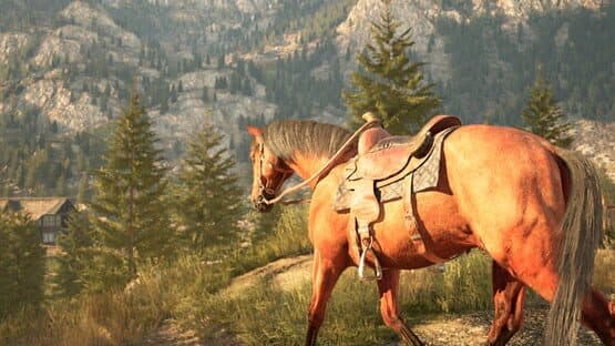 Medieval Horse Simulator — screenshot 3