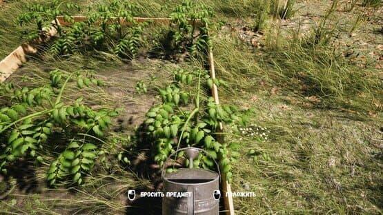 Dacha — screenshot 8