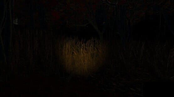 Echoes of the Wind — screenshot 3