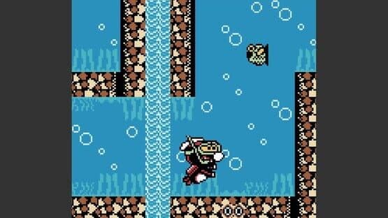 Rabidja's Revenge — screenshot 3