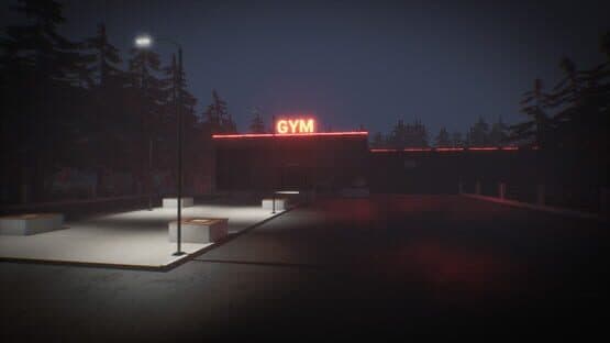 The Night Gym — screenshot 4