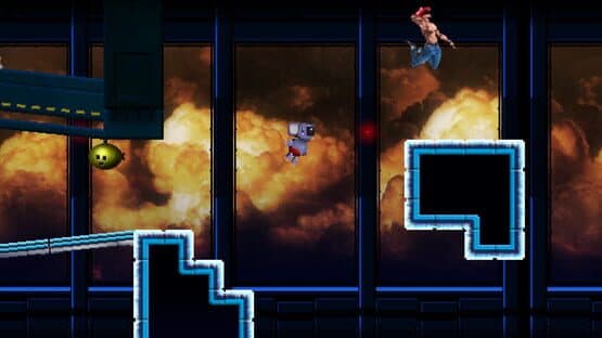 Koalas Deliv & Guy — screenshot 1