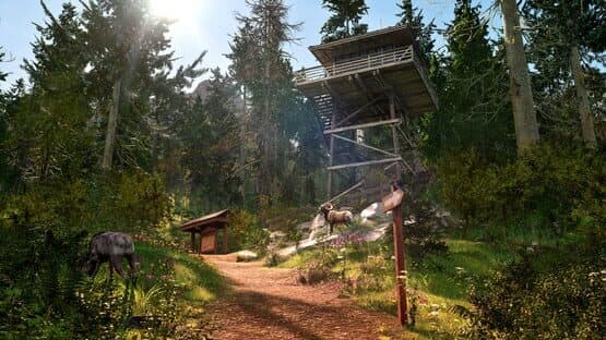 Ranger’s Path: National Park Simulator — screenshot 2