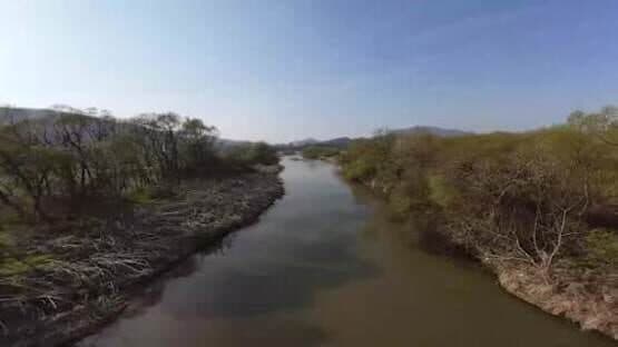 Korean Drone Flying Tour Deulkkoch Arboretum — screenshot 1