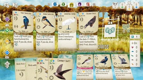Birds and Cats — screenshot 1