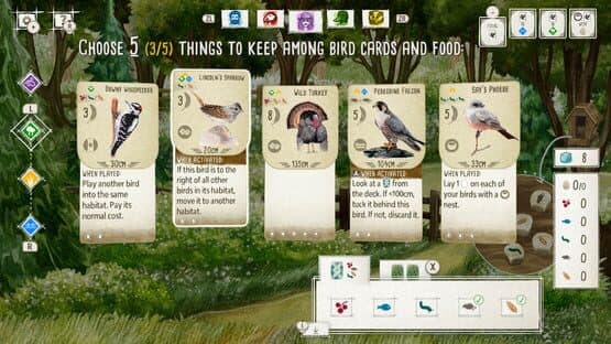 Birds and Cats — screenshot 2