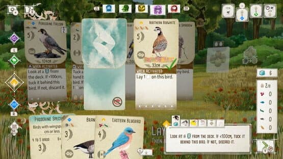 Birds and Cats — screenshot 3