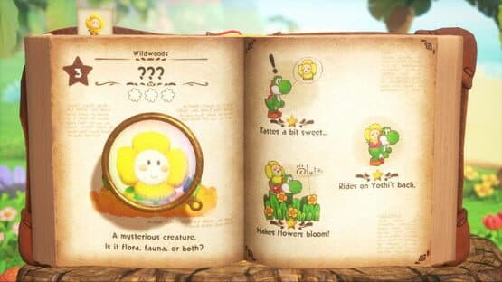 Yoshi and the Mysterious Book — screenshot 7
