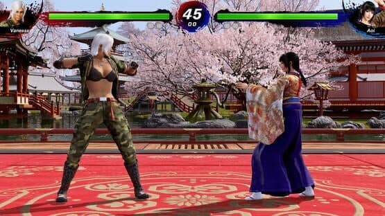 Virtua Fighter 5 R.E.V.O. World Stage — screenshot 4
