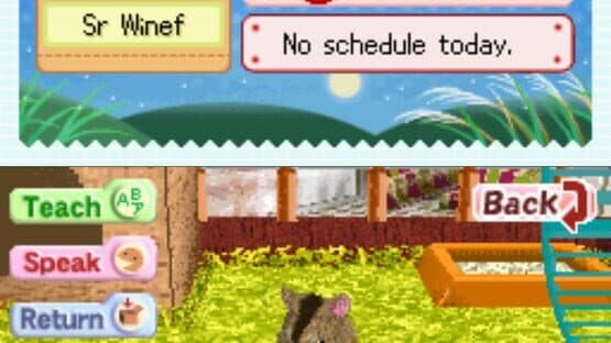 Hamsterz Life — screenshot 1