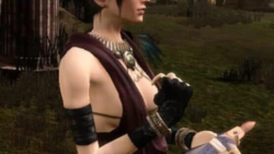 Dragon Age: Origins - Feastday Gifts — screenshot 1