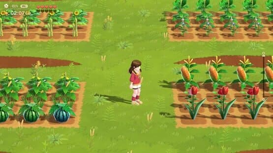 Harvest Moon: Home Sweet Home Special Edition — screenshot 1