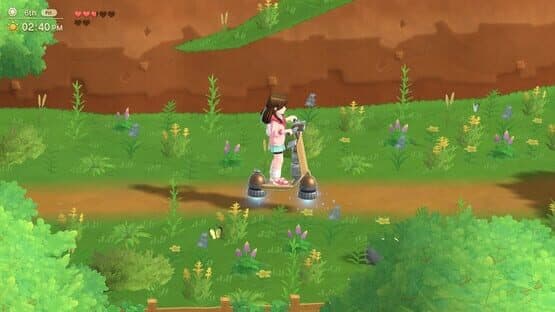 Harvest Moon: Home Sweet Home Special Edition — screenshot 3
