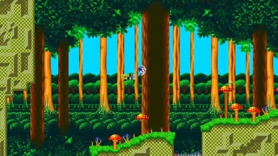 Untitled Sonic Fangame — screenshot 3