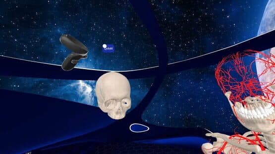 Elementary Anatomy: With Story Mode — screenshot 1