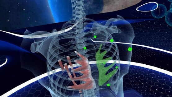 Elementary Anatomy: With Story Mode — screenshot 6