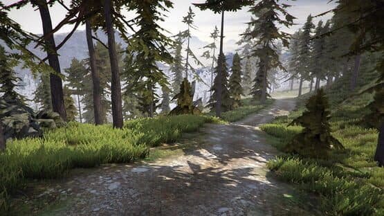 MTB Downhill Simulator — screenshot 6