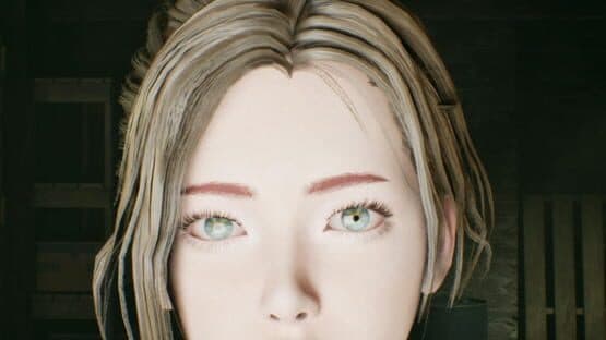 The Evelyn Game — screenshot 1
