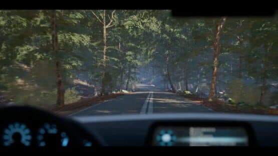 The Evelyn Game — screenshot 5