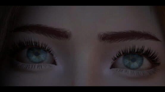 The Evelyn Game — screenshot 6