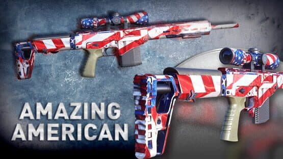 Sniper Ghost Warrior Contracts: World Flags Skin Pack — screenshot 3
