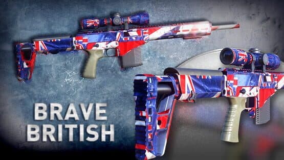 Sniper Ghost Warrior Contracts: World Flags Skin Pack — screenshot 4