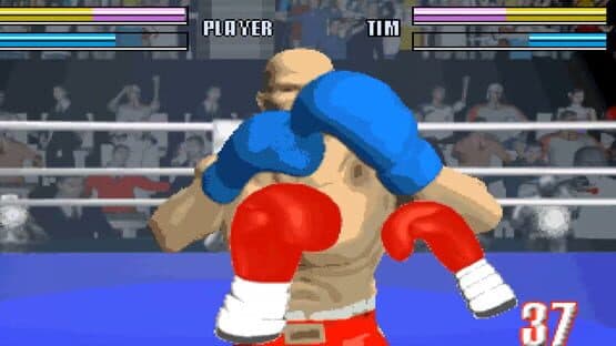 Virtual Boxing — screenshot 1