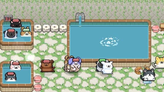 Maltese's Fluffy Onsen — screenshot 4