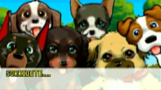 Cuccioli Cerca Amici — screenshot 2