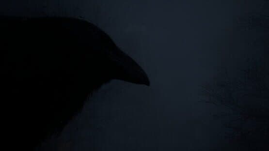 The Butcher's Village — screenshot 5