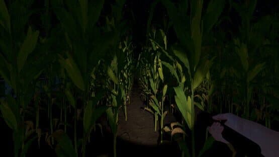 The Greys: Human Abductions — screenshot 7