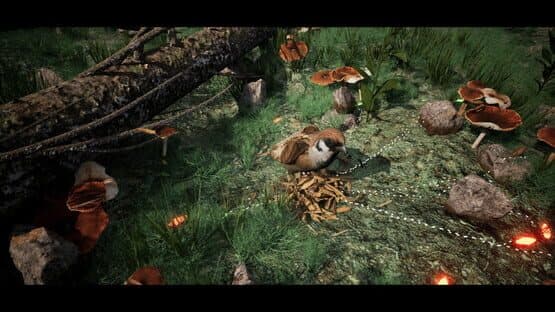 Soilborn: Ant Empire — screenshot 1